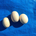 木製ボールプール ボール