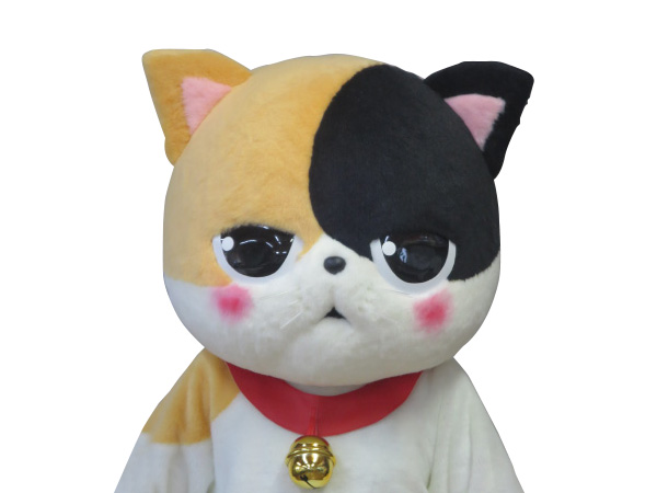 三毛猫着ぐるみ レンタル - 東京 大阪 名古屋 全国対応の株式