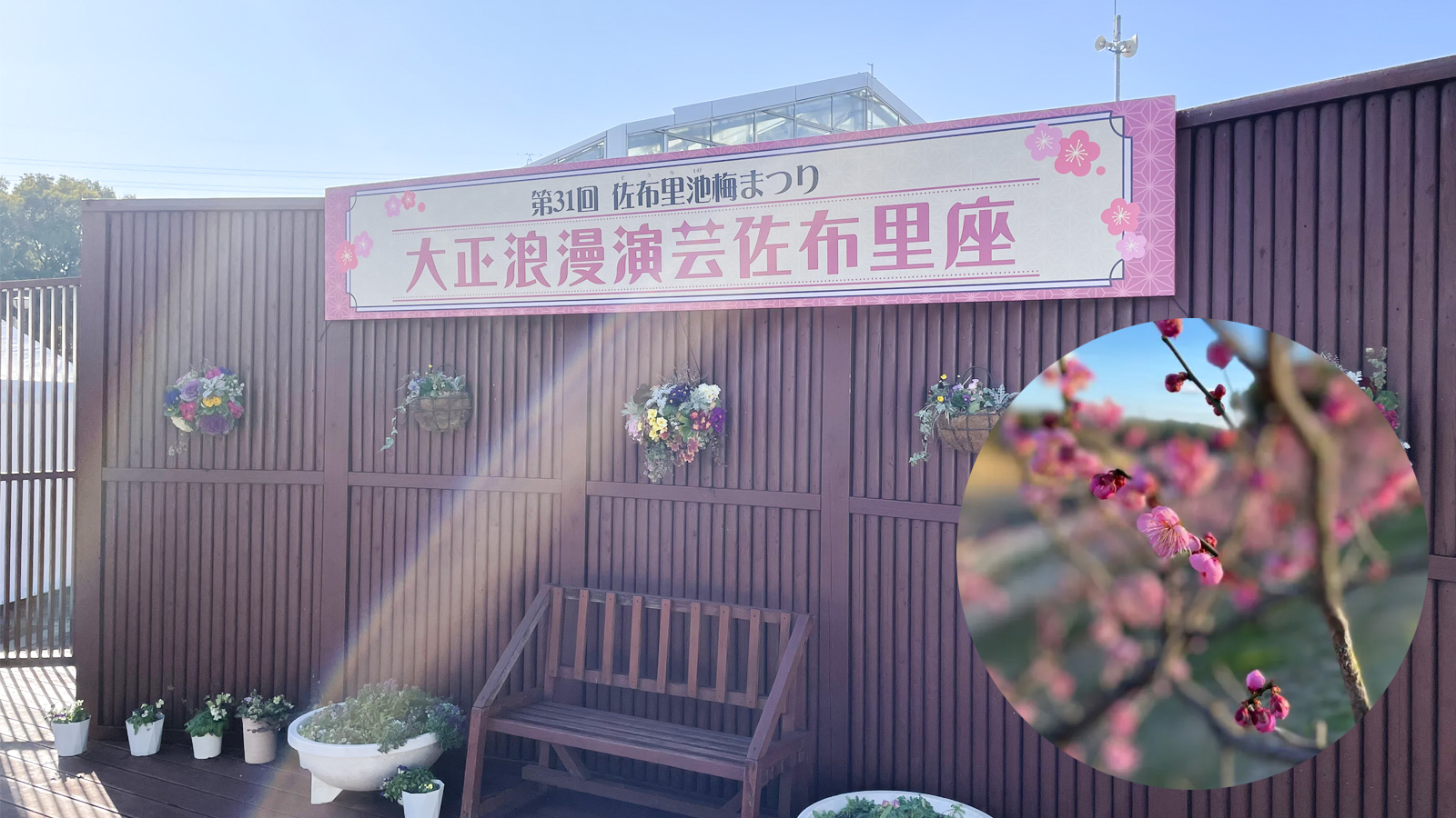 梅まつり