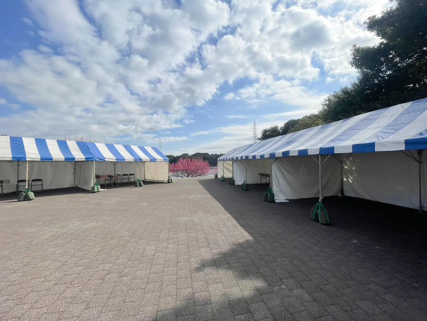 第33回佐布里池梅まつり 施工風景5