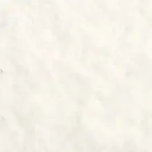 YN50