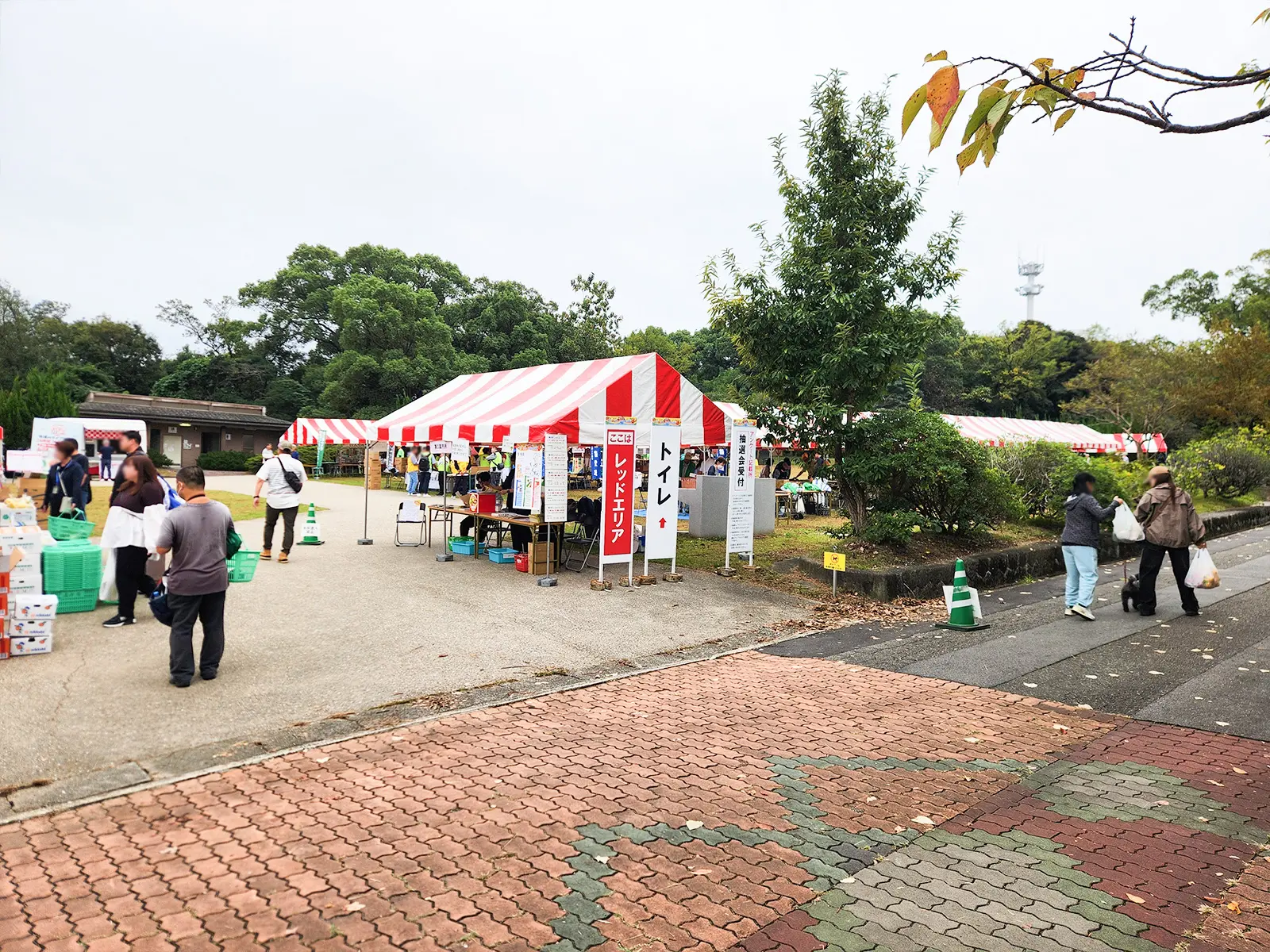 緑区区民まつり1